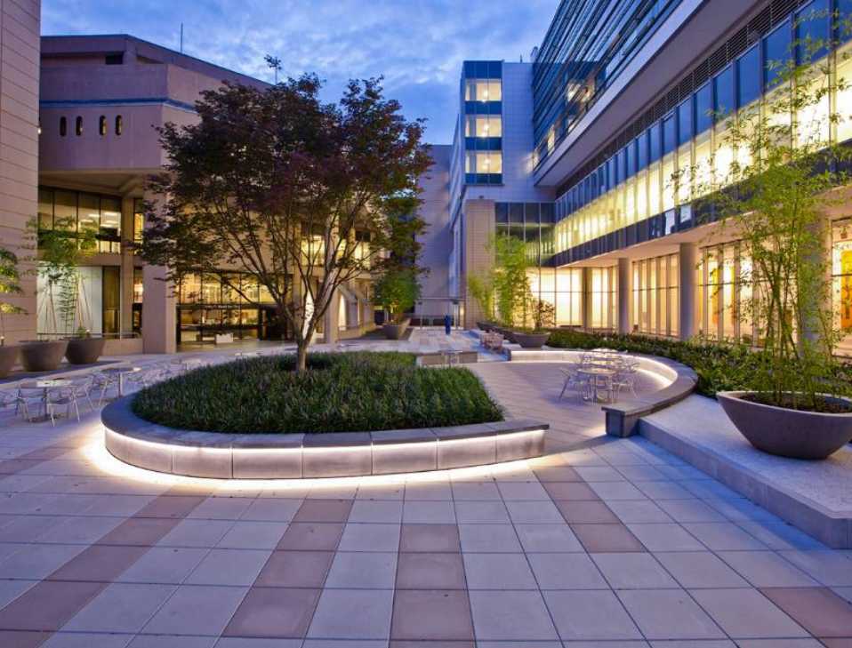 Duke University Medical Center: From Local Institution to Global Academic Powerhouse