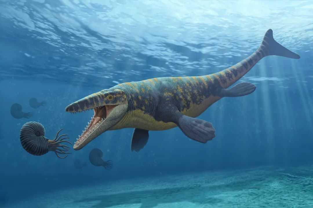 Mosasaurus: The Reptilian Tyrant That Conquered Cretaceous Seas